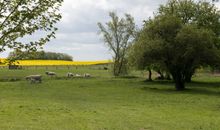 Landluft einatmen und genießen