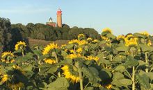 Meeresblick Panorama Sauna Wlan Fitnessraum Dünenresidenz