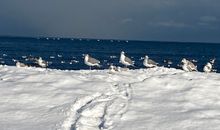 Winter am Strand von Trassenheide