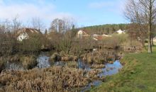 Ausblick auf den Naturteich