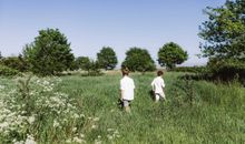 FH Siegfried Wiese im Naturschutzgebiet