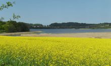 Ferienwohnungen Ostseebad Sellin