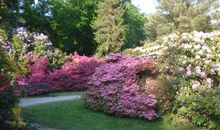 Küstenwald - Ferienwohnung Igel 67