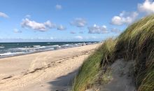 Blick auf den Ostseestrand beim Strandhaus