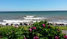 Blick von der Strandpromenade auf die Ostsee