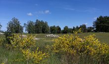 Wanderwege zwischen Korswandt und Neuhof