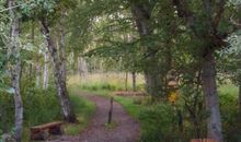 Weg zum Strand über schönen Waldweg