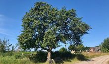 Strand von Sellin