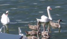 Hafen Erlebnisse - Entdecken Sie die Natur