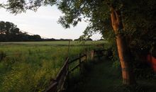 Ausblick vom Balkon