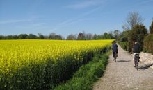 Zahlreiche Radwege um Schönhagen laden zu ausgedehnten Touren ein.