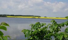 Strandbank - Blick auf das bezaubernde Ferienhaus unter Reet