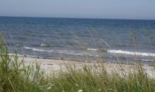 Strandbank - Blick auf den Eingang und den Schuppen