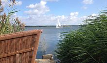 Ein Segelboot läuft direkt vor Ihrer Haustür in den Breeger Hafen ein.