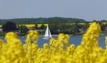 Ferienhaus Insel Rügen Deichhaus No 1 direkt auf dem Deich