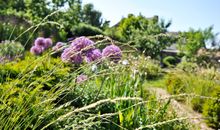 Ferienwohnungen im Fischerdorf und unterm Reetdach