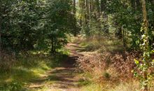 Ferien auf Hiddensee / Neuendorf