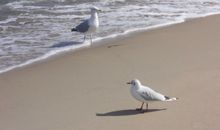 Herzlich willkommen in der Ferienwohnung Strandweg