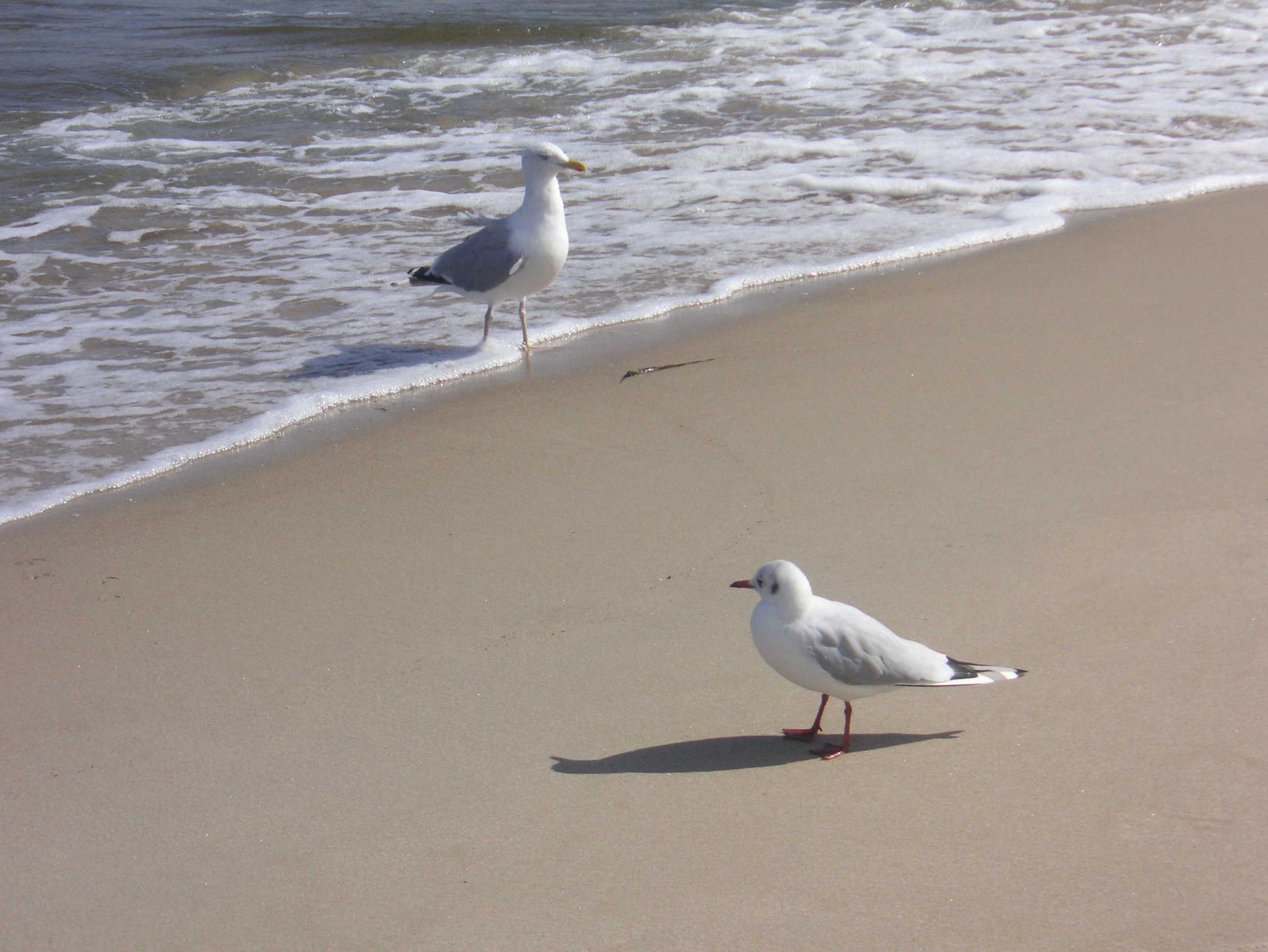 Herzlich willkommen in der Ferienwohnung Strandweg