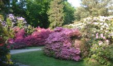 Ferienobjekt Graal-Müritz - Rhododendronpark