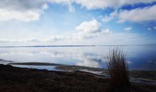 Blick auf den Bodden