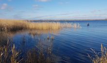 Badeplatz am Bodden (ca. 600 m)