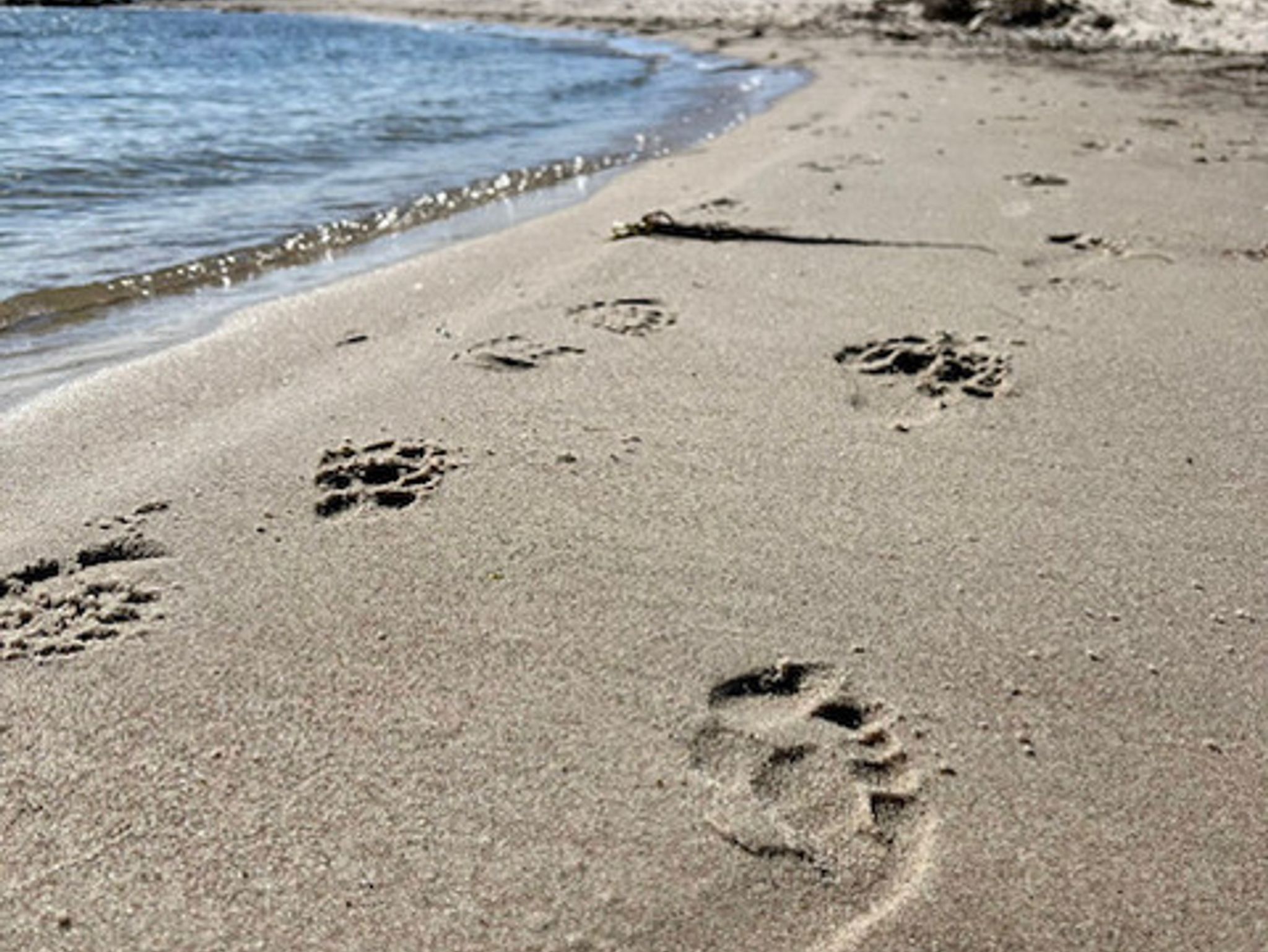 Lütt Osten - 300 Meter bis zum Strand