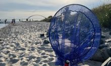 Lütt Osten - 300 Meter bis zum Strand