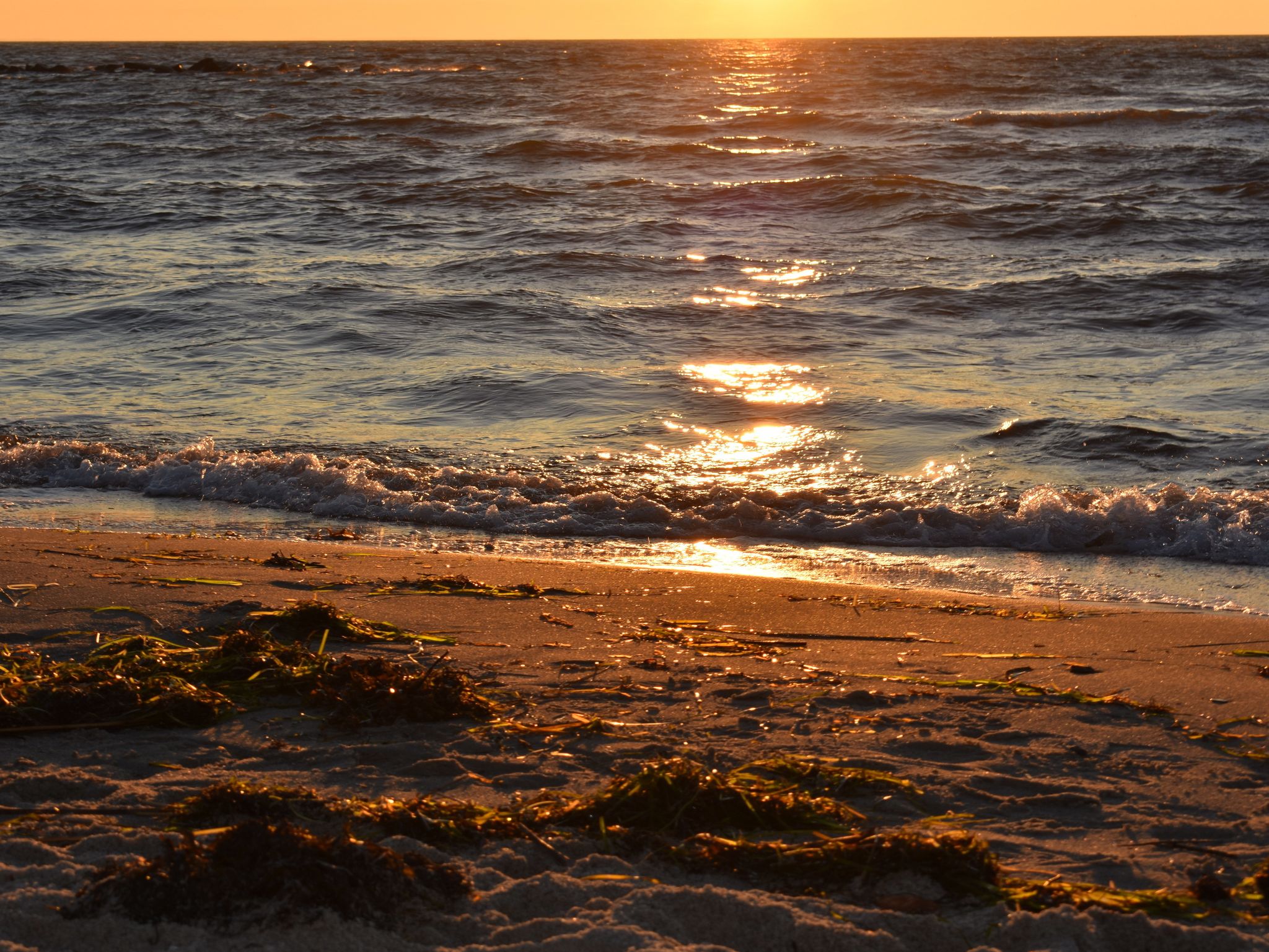 Mariandl am Meer / GartenHäusl