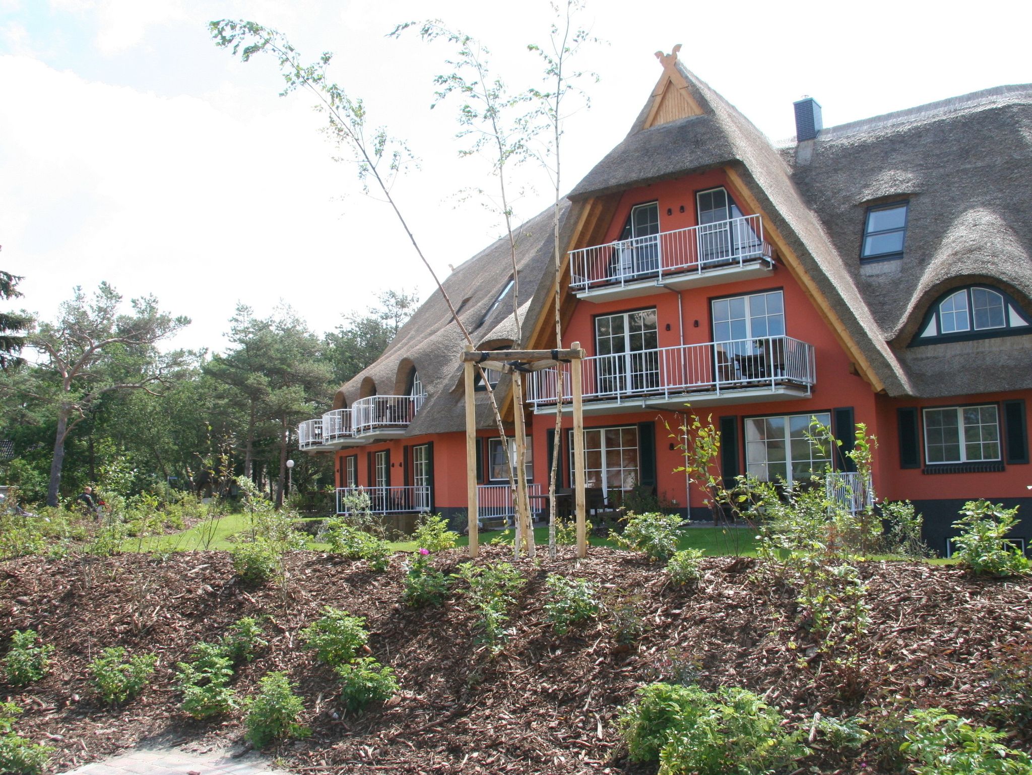 Ferienhaus reetgedeckt I direkt am Meer