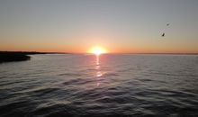 FEWO bis 2 Pers. inmitten den Yachthafens Ueckermünde, Stettiner Haff, Ostsee