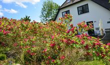 Ferienhaus "Seeadler" in Groß Zicker/Halbinsel Mönchgut