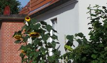 Ferienwohnung Sonnenblume