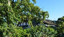 Ferienhaus "Strandflieder" in Groß Zicker/Halbinsel Mönchgut