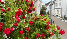 Hygge Buden - Ferienwohnung Lieblingsplatz