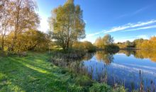 Fischländer, FW Horizont, FW 8